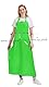 Nanxson TPU Schürze Unisex Wasserdichte Schürze Verstellbare Nackenschulter Leichte Arbeisschürze CF3148 (Grün, 110 * 80)