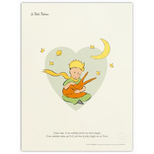 Poster affiche d'art Oneart Le Petit Prince, une touche d'émotion poétique