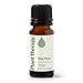 Plant Therapy Tea Tree Essential Oil 100% Pure, Undiluted, Natural Aromatherapy, Therapeutic Grade 10 Ml (1/3 Oz)
