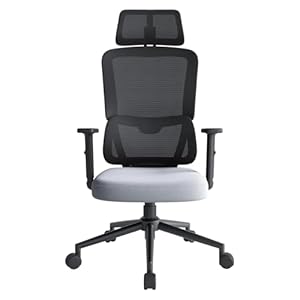 Chaise de Bureau Ergonomique Eucladoceros