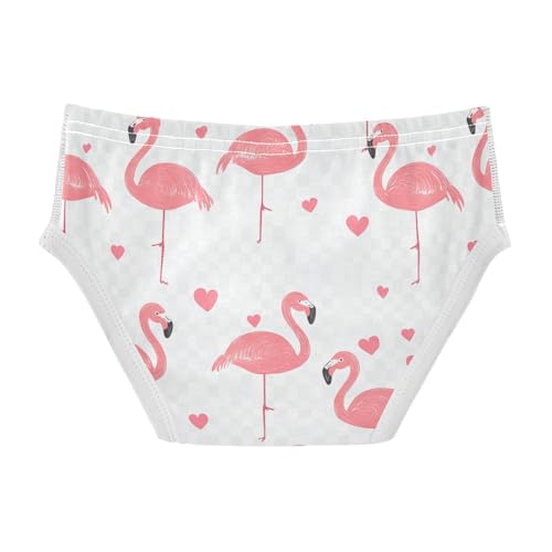 Wusikd Pink Flamingos Boys' Underwear Cotton Hearts Boys Briefs Soft Toddler Underwear 2T2