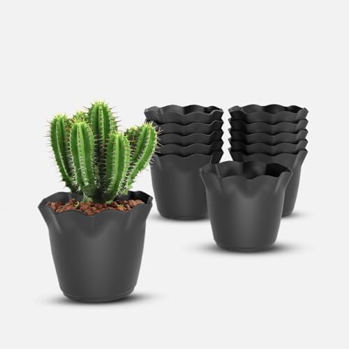 Image of YUCCABE ITALIA SHERA Flower Plastic Flower Pot Unbreakable Round Shape Planter with Drainage Holes Planter Suitable for Home Garden Seedling Indoor and Outdoor (Grey, 6 INCH - 12 Pcs)