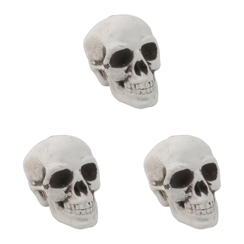 wbhnEB[R[q[R[q[I[iJbg_CJ[ĥ߂̐lԂ̃XJvbvXPg̓NX}XNAX^vJ[h쐬