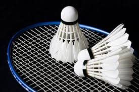 WoFLoo shuttlecock White Feather Badminton Shuttle Cock with Heavy Cork and Excellent Flite (10 Piece Box)-image-16
