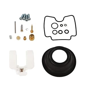 Motor Carburateur Rebuild Kit, Slagvaste Motor Carb Rebuild Set Anti Aging voor Motor: