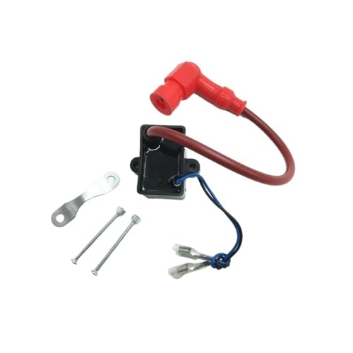 Bobina de encendido de dos tiempos para reparar la chispa de motos de 80 cc 2