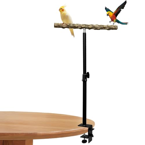 Image of 13-23 Inch Height Adjustable Desktop Bird Perch Pepper Wood Bird Training Perch Stand Parakeet Perches Indoor and Outdoor Parrot Stands for Small to Medium Bird