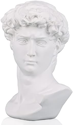 David Statue And Sculpture Fine art bust Greek Statue Decor, Resin Statue of David Used for Sketch Practice Aesthetics Statues and Sculptures and Indoor Filling Space for Living Room,Bedroom and Study