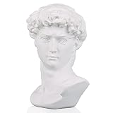 David Statue And Sculpture Fine art bust Greek Statue Decor, Resin Statue of David Used for Sketch P