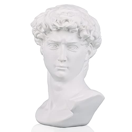 David Statue And Sculpture Fine Art Bust Greek Statue Decor, Resin Statue Of David Used For Sketch Practice Aesthetics Statues And Sculptures And Indoor Filling Space For Living Room,Bedroom And Study #TOP19