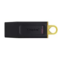 Kingston DataTraveler