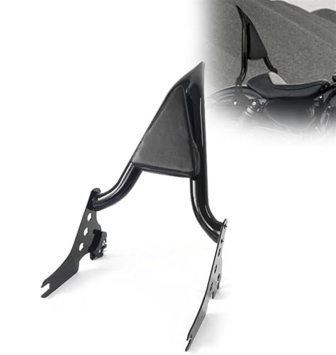 Appui-dos amovible moto sissy bar passager arrière XL1200XS Forty-Eight Special