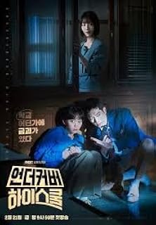 アンダーカバーハイスクール