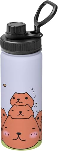 X|[c Jso R[q[Jbv 500ml ^fM d\ ۉ|bg XeX e EH[^[{g ʋ ʊw ԍڗp@r [sAi]