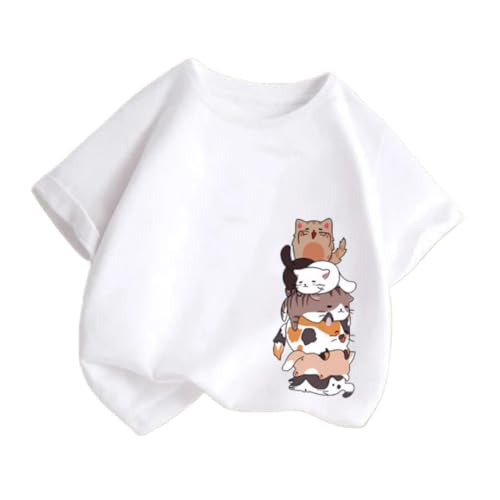 [REENEW] q TVc LbY ̎q  L  Jbg\[ tVc ĕ K[Y q xr[ gbvX ̑ 㒅 tVc 킢   JWA X|[c i   i ʉ ʊw l