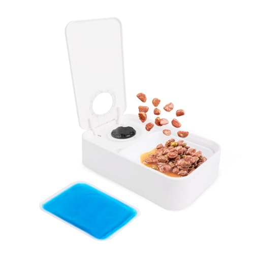 ALL FOR PAWS Timed Dog Feeder with Ice Pack – 1 Meal | Automatic Pet Food Dispenser | Portion Control | Keep Fresh | Ideal for All Dog Breeds (1 Meal)