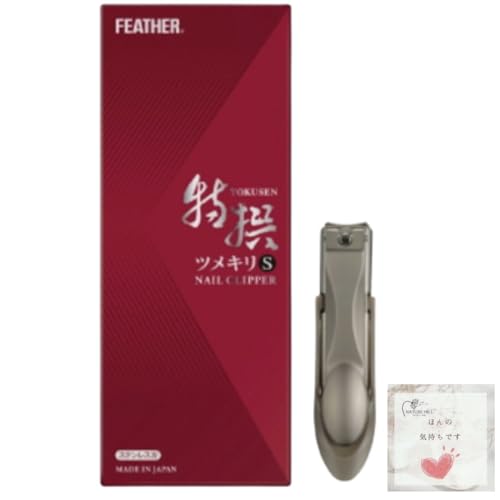 tFU[ cL Sij tFU[S䓁 XeXn { lC ܐ؂