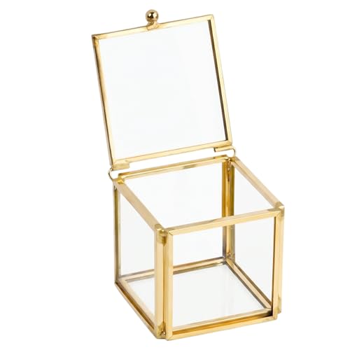 Anselm Joyero Pequeño, Caja de Cristal y Metal Geométrico Caja de Anillo Cajas para Joyas de Vidrio Transparente para Guardar y Deoración Exhibir pendientes Joyas Anillos (Cuadrado)