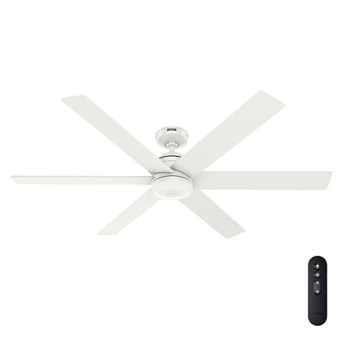 Hunter 60 Indoor/Outdoor Ceiling Fan with Remote