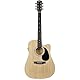 Fender 0930307006 SA-105CE Dreadnought-Cutaway E-Gitarre – Schwarz Volle Größe natur, Inklusive kostenloser virtueller Kurse auf Fender Play