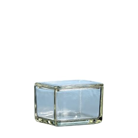 vaschette coplin da laboratorio