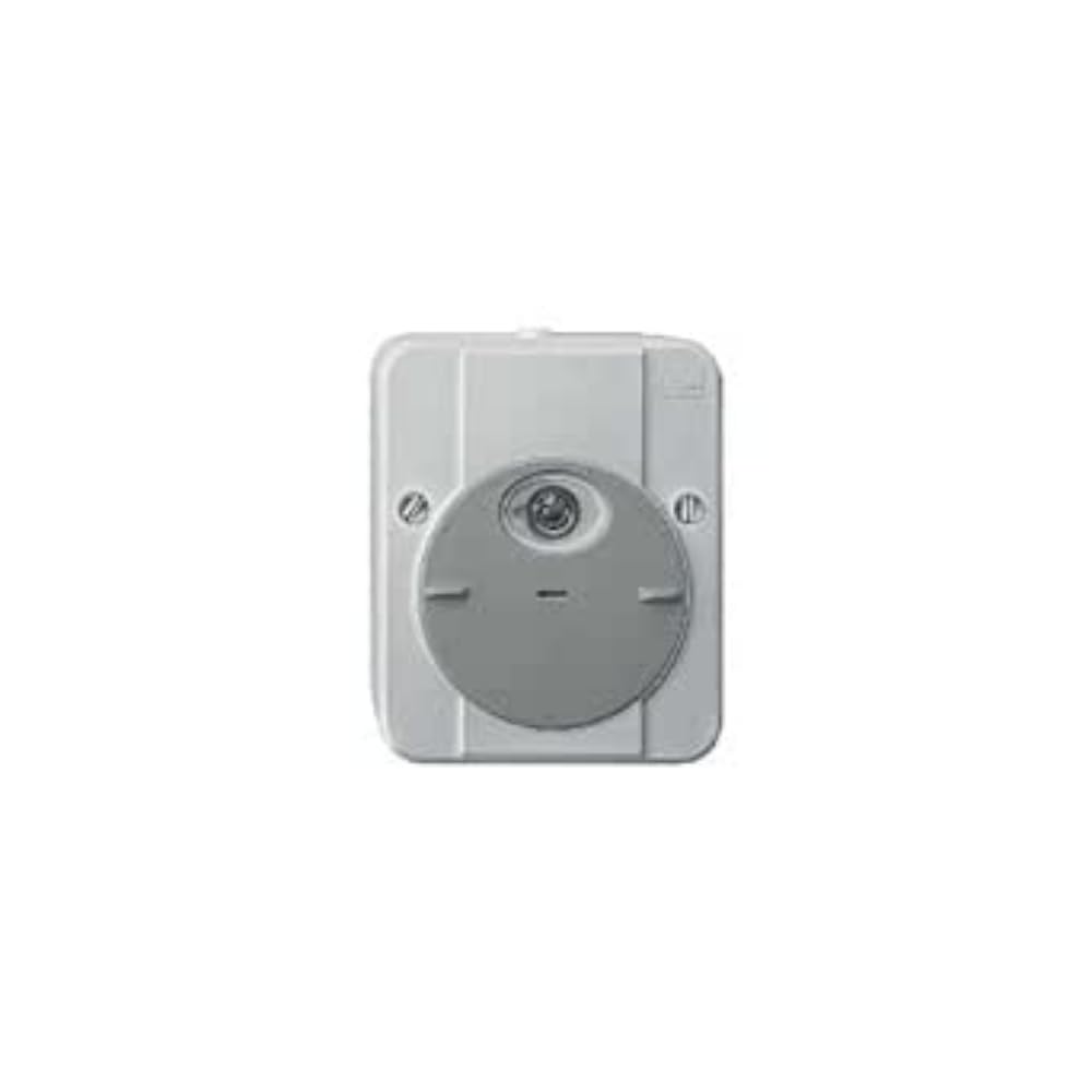 Schneider Electric MTN544894 Argus Conmutador Fotosensible con Retardo, Gris Claro