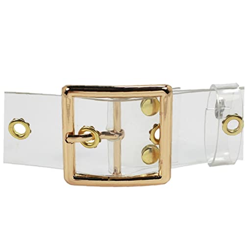 Clear Belt Women Waist Belts Resin Transparent Long Belt Ladies Dress Band Belt with Gold Round Buckle, 102cm4