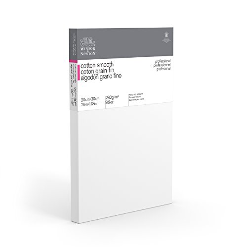 Winsor & Newton 6205022 Professional Stretcher Frame Fine Grain Canvas with 280 g/m² 100% Cotton Triple Primed for Watercolour, Oil Paints, Acrylic Paints - 20 x 30 cm