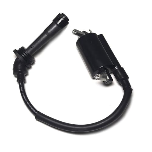Bobina encendido motocicleta con cable de alta tensión para Benelli TNT25