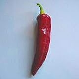 Hungarian Paprika Hot Peppers Seeds (25 Seed Packet) (More Heirloom, Non GMO, Vegetable, Fruit, Herb, Flower Garden Seeds at Seed King Express)