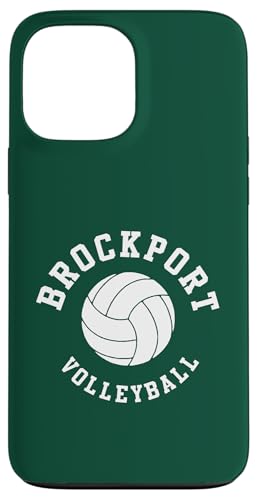 SUNY Brockport Golden Eagles Retro Volleyball �X�}�z�P�[�X iPhone 13 Pro Max �p