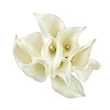 SORGE SPARENDER DEKORATION ERFAHRUNG: Dieses Calla Lily ist leicht zu reinigen und sauber zu halten, einfache Installation.