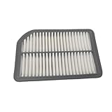 Air Filter for Chery A3 M12 1.6l 2008-2015, Engine Air Filter M11-1109111-bc