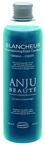 ANJU BEAUTE SHAMPOING ECLAT BLANCHEUR 5L