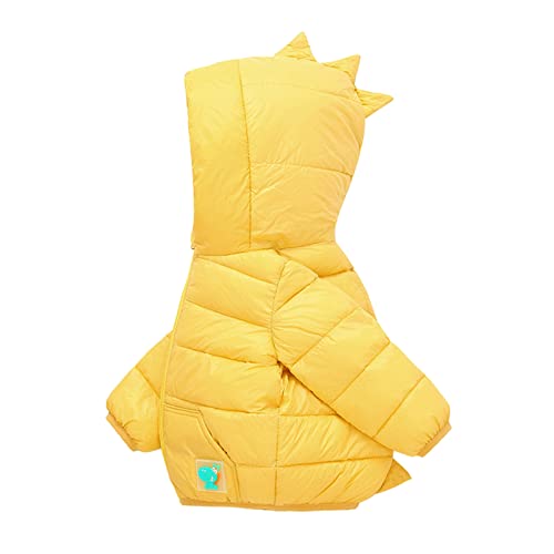 Winter Coats for Kids Baby Boys Girls Warm Puffer Dinosaur Hooded Jacket Cute Casual Toddler Full Zip Windproof Clothes