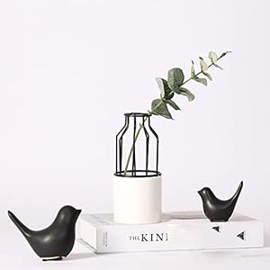 FANTESTICRYAN Small Animal Statues Home Decor Modern Style Black Decorative Ornaments for Living Room, Bedroom, Office Desktop, Cabinets… FANTESTICRYAN Small Animal Statues Home Decor Modern Style Black Decorative Ornaments for Living Room Bedroom Office Desktop Cabinets