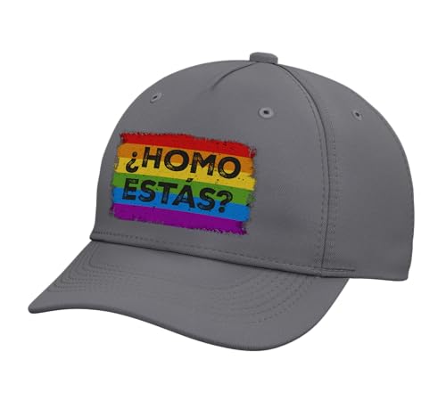 Homo Estas Spanish Mexican Funny Gay Pride Ally LGBTQ Month Adjustable Printed Baseball Hat, Slate Grey