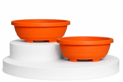 Image of Harshdeep Bonsai Pot - Oval - Indoor Outdoor Home Living Room Garden Decorative 16 Inch Planter Set of 2 (Orange)