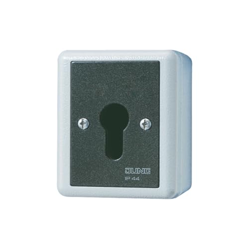 Jung 806.28G Schluesselschalter