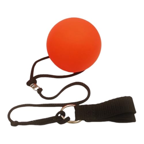 Sollevamento delle spalle | Attrezzature per il fitness Palline per il delle articolazioni | Attrezzo elastico da palestra per adolescenti adulti donne bambini anziani adolescenti