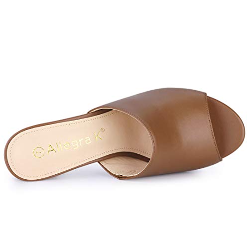 Allegra K Allegra K Women's Slip On Block Heel Slide Sandals Brown Slide Sandals - 7 M US
