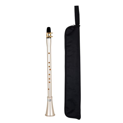 Mini saxophone portable en ABS pour apprendre la musique facilement partout
