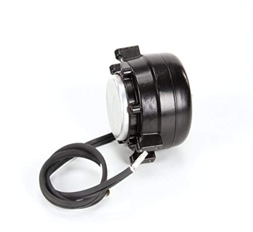 True 800439 Motor Sp-B9hs16 115-volt 60-Hertz