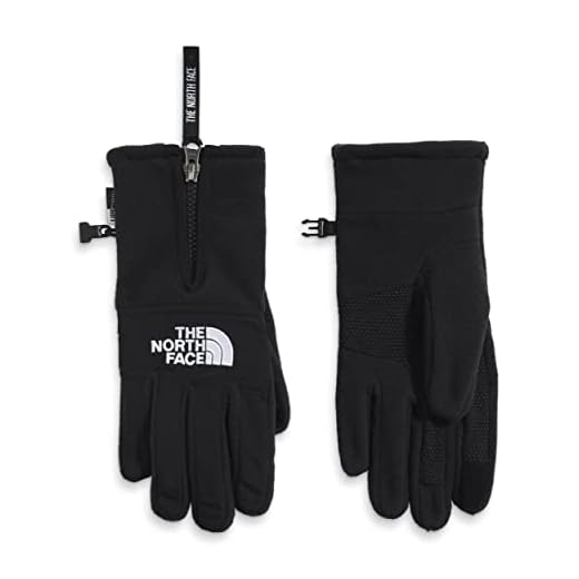 THE NORTH FACE Men's Denali Etip Glove, TNF Black, Small