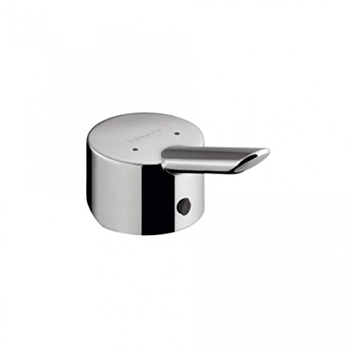 Preisvergleich Produktbild Hansgrohe Griff Focus S chrom 31793000