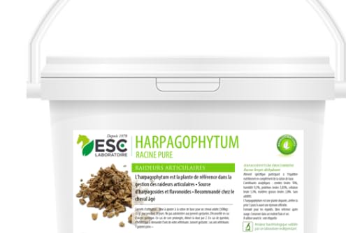 ESC LABO HARPAGOPHYTUM 500 grammes
