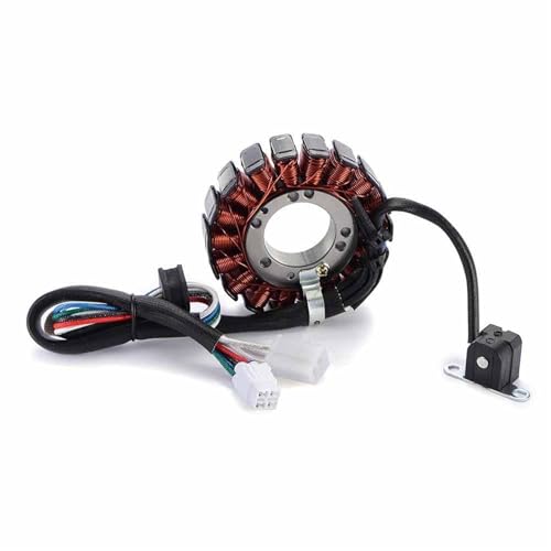 Bobine de stator LTZ 400 pour rouler en forêt avec Suzuki Quadsport Z