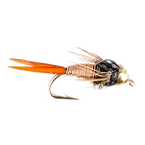 The Fly Fishing Place Trout Fly Starter Assortment - Collection Of 18 Flies For Trout Fly Fishing - Beginners Fly Selection #TOP5