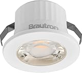 Braytron