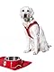 Hunter FC Bayern München 48x30cm Rot